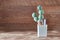 Cactus of round segments without needles, thorns on vintage wooden background. Bushy green succulent in pot. Copy space.