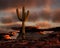 Cactus on sandstone rock formation at sunset.