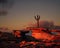 Cactus on sandstone rock formation at sunset.