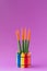Cactus Sansevieria Velvet Touch Isolated in bright colorful rainbow pot on the ultraviolet background