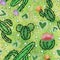 Cactus seamless pattern illustrations