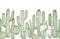 Cactus seamless pattern. Sketch desert cactuses plants endless border for western landscape vector illustration