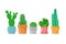 Cactus set in a flat style. Different home cacti in pots. House succulents. Vector illustration