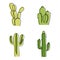 Cactus set. Posters and cards for line decorative elements. Different forms cacti and succulents. Green prickly