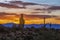 Cactus Silhouette Against Desert Sunrise Skies