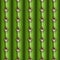 Cactus stem seamless pattern, Cereus alike plant texture