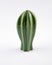 Cactus or succulent plant shaped ceramic decoration for plant lovers