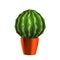 Cactus Succulent Planted In Orange Pot Vector