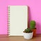 Cactus, succulent plants and blank notebook paper on wooden table and pink background, desert houseplant trendy design background