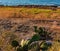 Cactus succulent plants on Panoramic view of coloful coast and sea with azure clear water in Greece. the best beaches in