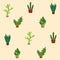 Cactus succulent plants pots background