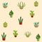 Cactus succulent plants pots background