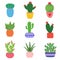 Cactus and succulent plants in pots. Illustration set of hand drawn cacti and succulents growing in cute little pots.