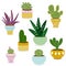Cactus and succulent plants in pots. Vector illustration