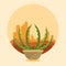 Cactus succulent pot on desertscape