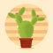 Cactus succulent pot on desertscape