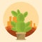 Cactus succulent pot on desertscape