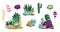 Cactus and succulent set