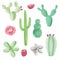 Cactus Succulents Hand Painted Watercolor Cacti Flower Elements