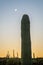 Cactus Sunrise at Saguaro National Park in Southern Arizona