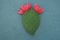 Cactus terracotta, creative hand painted art work souvenir with green sand background