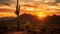 Cactus tree desert sunset landscape near phoenix Az