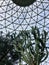 Cactus and trees in botanical garden dome