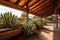 cactus under wooden beams in pueblo-style patio