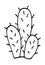 Cactus vector doodle cartoon Hand drawn illustration