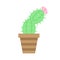 Cactus vector illustration icon