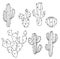Cactus vector illustrations. Hand drawn outline cactus set.