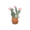 Cactus in a wicker basket. Plants for the home. Floriculture. Interior decoration. Isolated watercolor illustration on