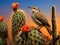 Cactus Wren on a Cholla in the Desert