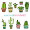 Cactuse and succulent hand drawn set. Doodle florals in pots. Vector colorful cute interior plants