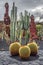 Cactuses in the Cactus garden, Lanzarote, Canary Islands, Spain