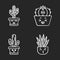 Cactuses chalk icons set