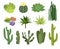 Cactuses Flat Icon Set
