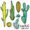 Cactuses Hand Drawn Abstract Natural Collection