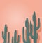 Cactuses Isolated on Pink Background