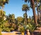 Cactuses and palm trees at the Jardin Majorelle botanical garden in Marrakech