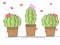 Cactuses in the pot