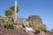 Cactuses, statue and a blue sky, Puerto del Rosario