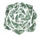 Cactuses succulent hand-painted illustration on white background Exotic desert plant. Inroom plant for home decor