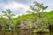 Caddo Lake State Park