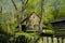 Cades Cove in Early Spring