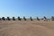 Cadillac Ranch Amarillo Texas