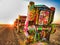 Cadillac Ranch at Sunset, Amarillo, Texas