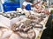 Cadiz Fish Market. Stunning Fresh fish stall in The Central Market of Cadiz, Andalusia, Spain.