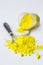 Cadmium Yellow pigment on a white background