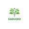 Caduceo logo, creative Plant snake vector
